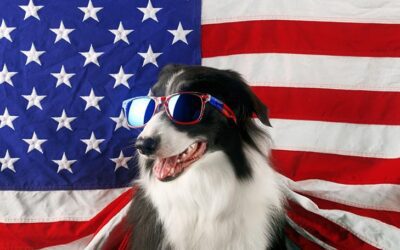 July 4th Safety Tips for Your Pets