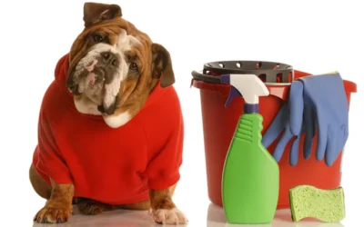 Announcing: The Top 10 Pet Toxins!