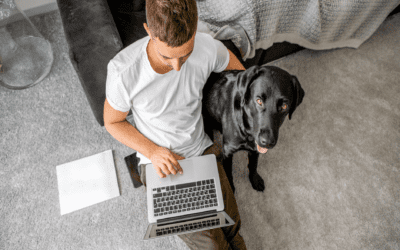 Online Reviews Help Pets