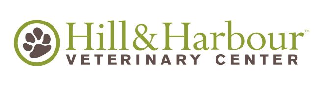 hill & harbour logo