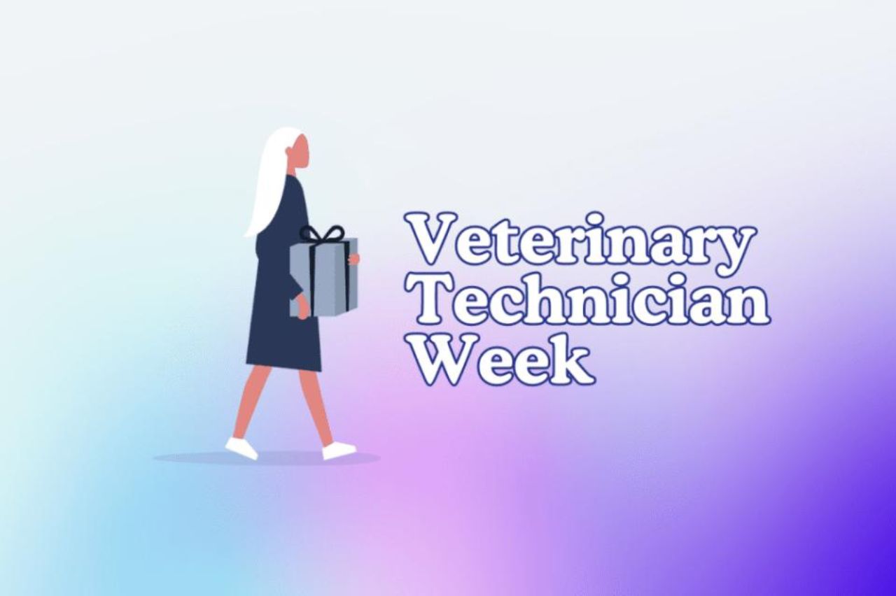 illustration for veterinary technician week
