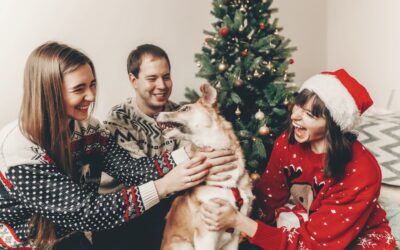 Ensuring a Pawsitively Safe Holiday Season for Your Furry Friends
