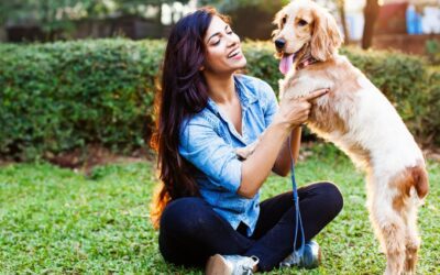 🎆 Fireworks, Thunderstorms & Frightened Pets: How to Keep Them Calm This Summer