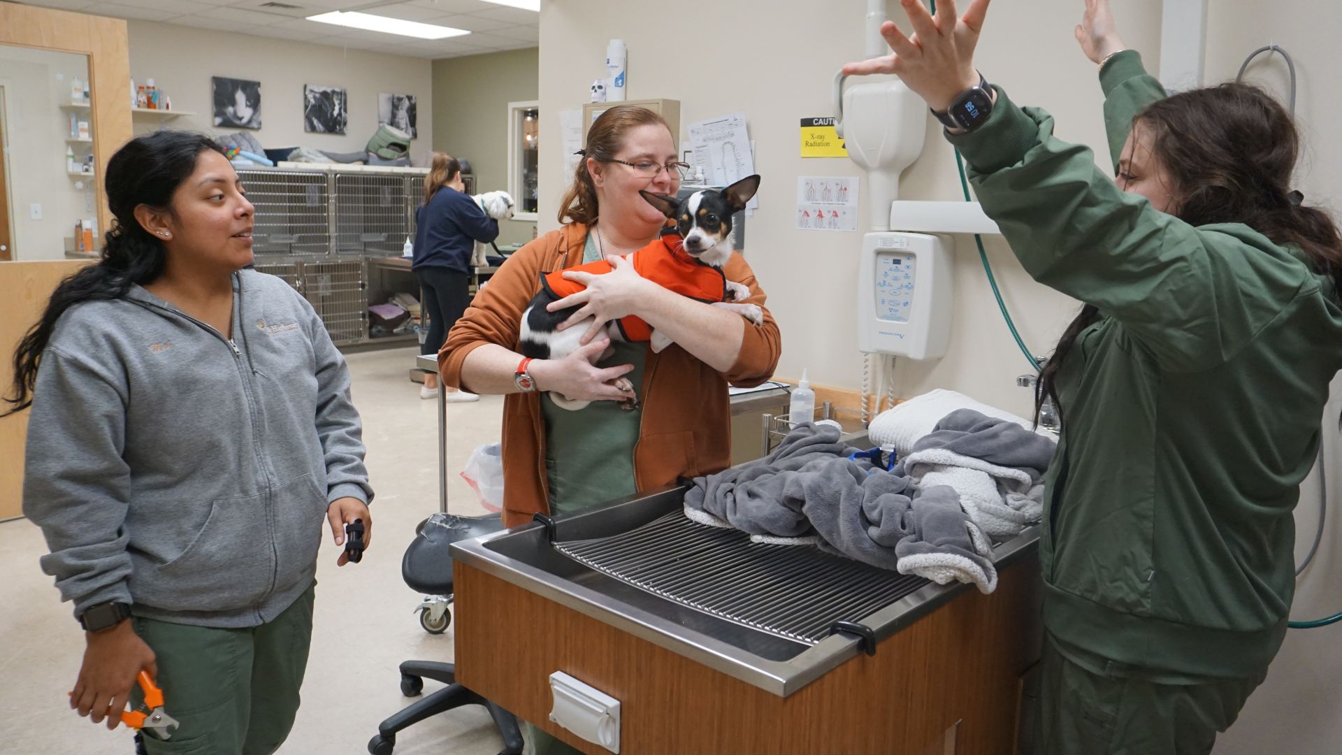 lady holding a dog with two vet staff standing near them