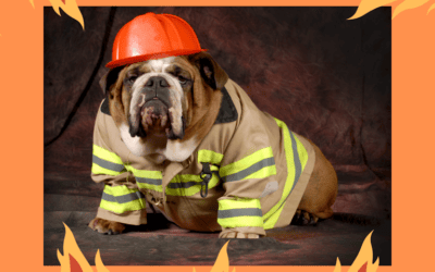 Pet Fire Preparation and Prevention